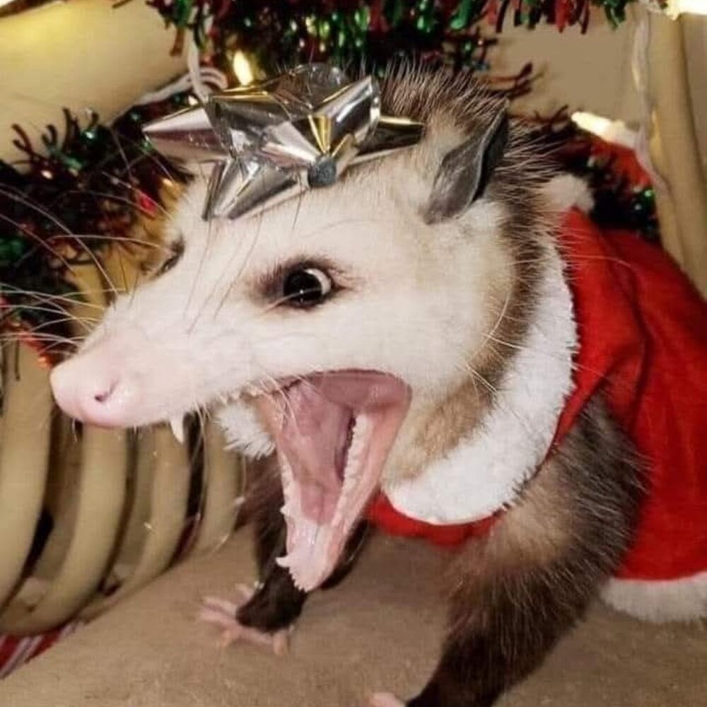 ..